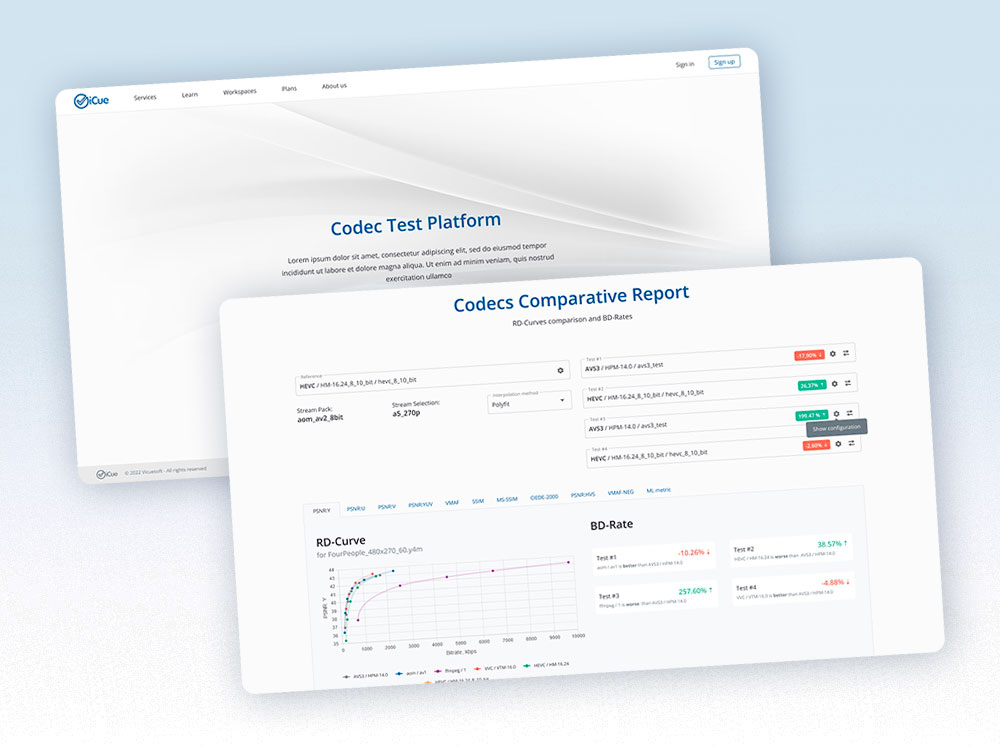 Video codec quality assessment